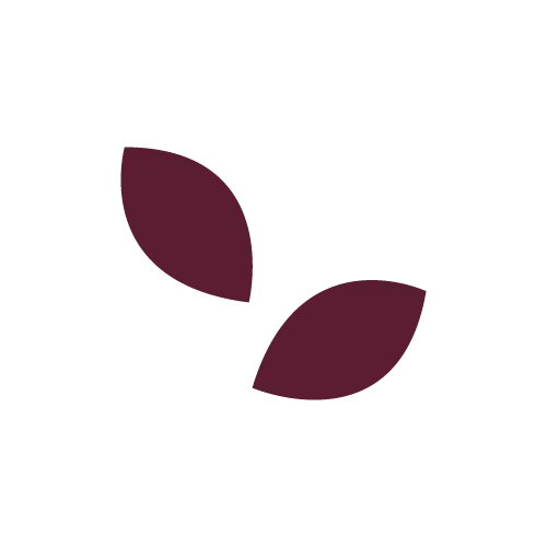 Icon für Wachstum